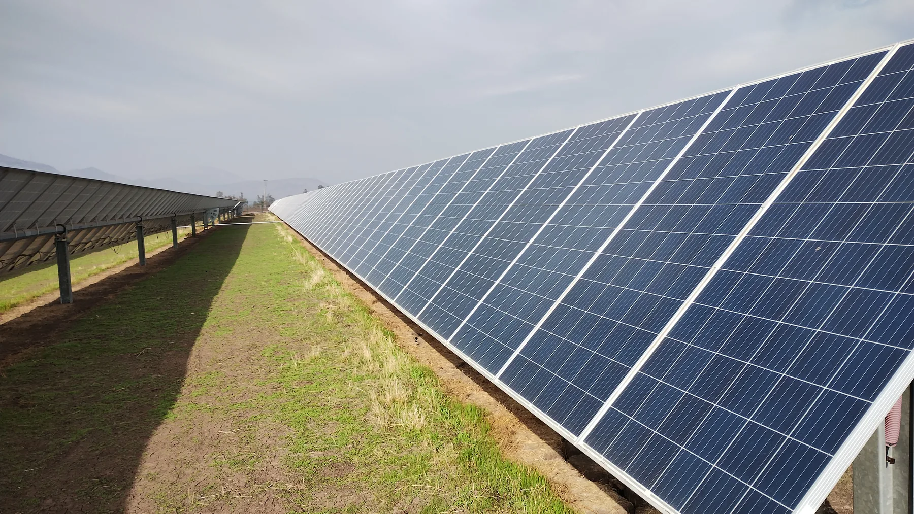 Paneles solares terreno