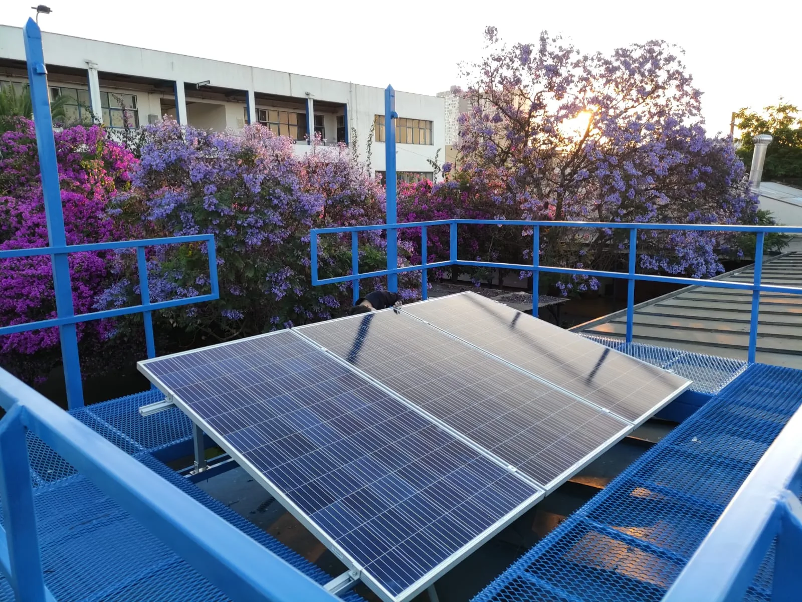 Panel solar jacaranda